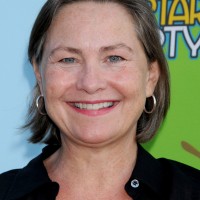 Cherry Jones at 2009 TCA Summer Tour - Fox All-Star Party