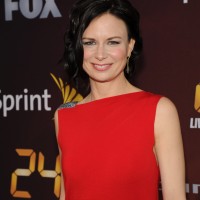 Mary Lynn Rajskub red carpet at 24: Live Another Day premiere screening